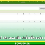 Bongdalu Football Odds – A Guide to Understanding Odds and Match Context