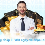 FLY88 Đăng Nhập Complete Guide to Secure Login and Smooth Account Access